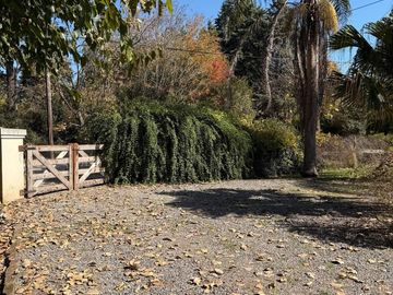 place photo 38