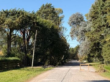 place photo 35