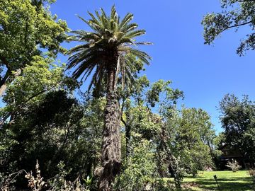place photo 27