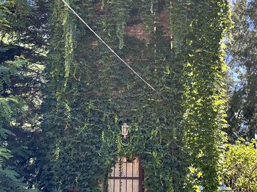 place photo 54