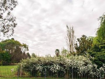 place photo 27