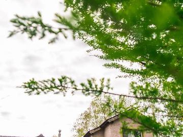 place photo 42