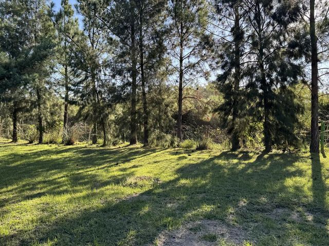 place photo 40