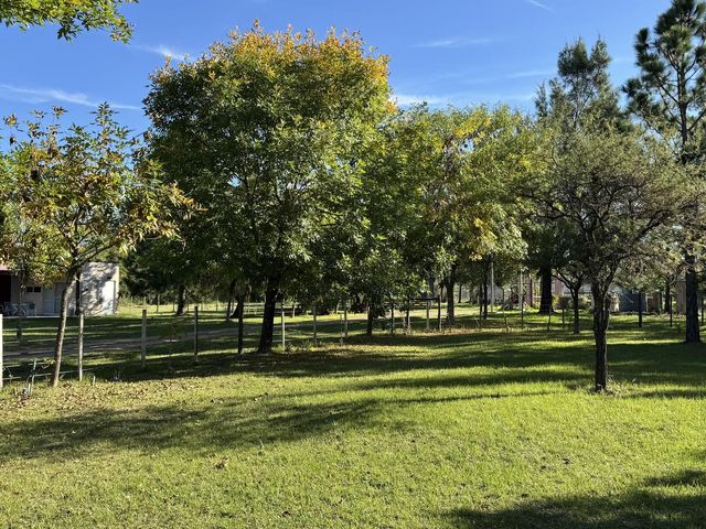 place photo 37