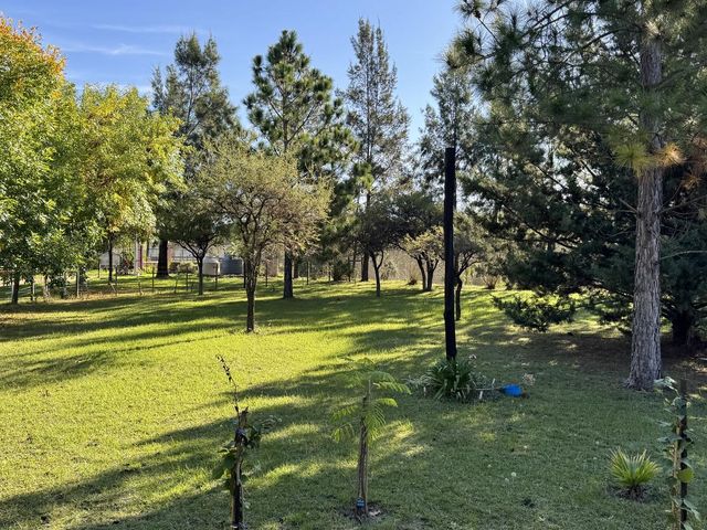 place photo 35
