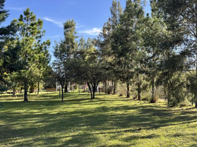 place photo 41