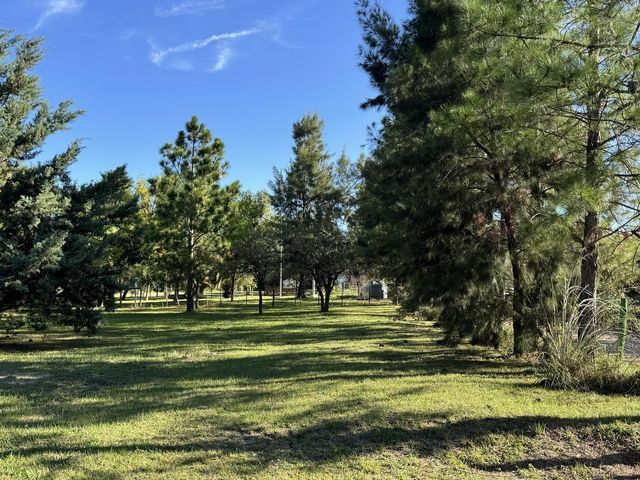place photo 46