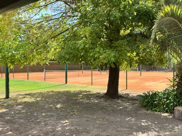 place photo 38