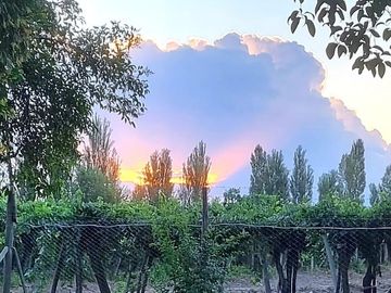 place photo 88