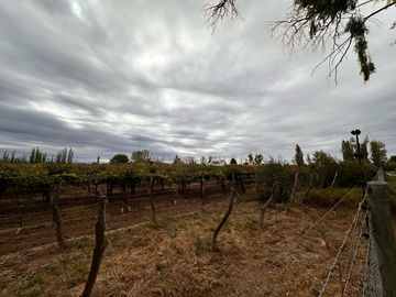 place photo 43