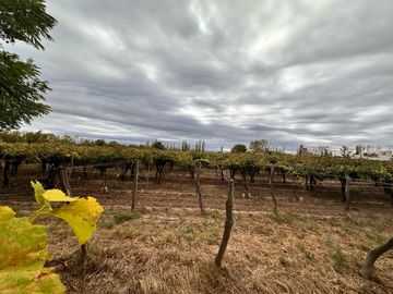 place photo 42