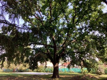 place photo 23