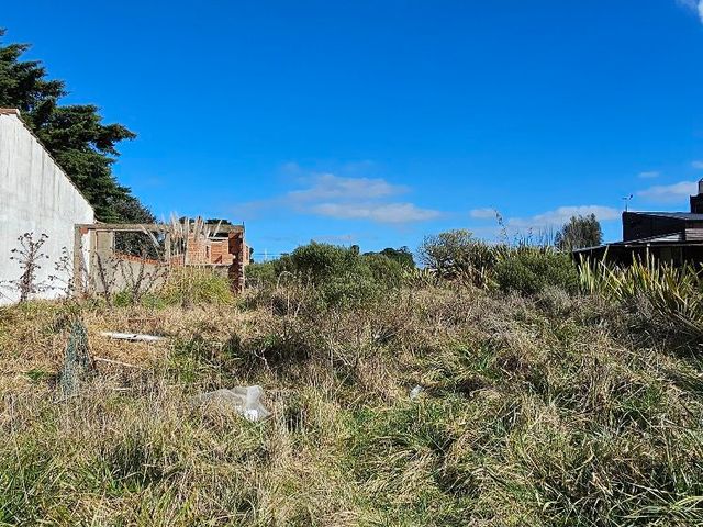 place photo 24