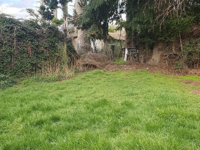 place photo 43
