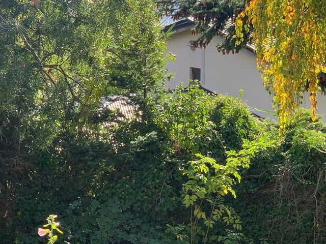 place photo 66