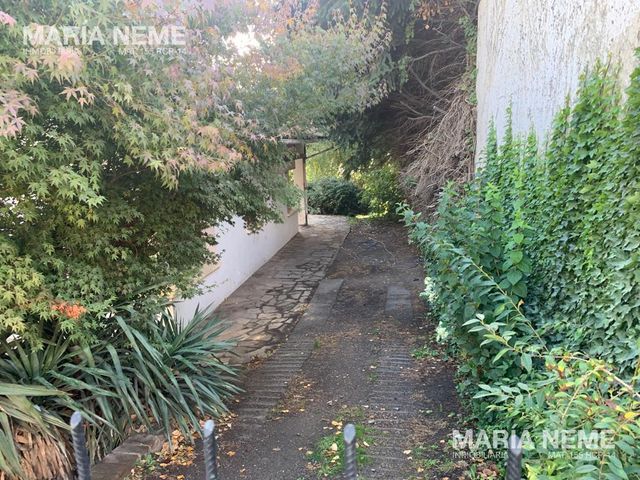 place photo 67
