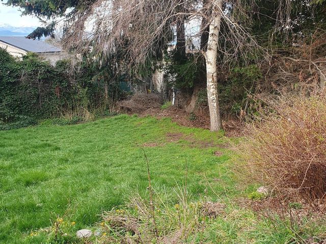 place photo 42