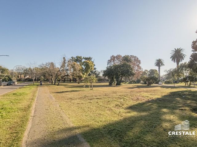 place photo 42