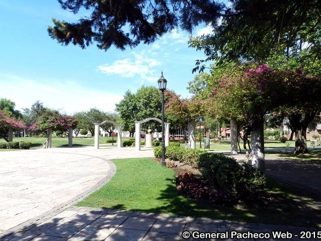 place photo 14