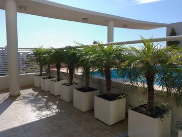 place photo 16