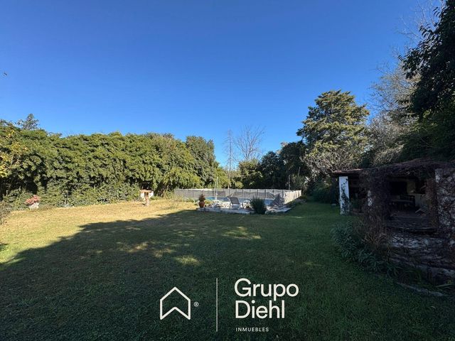 place photo 33