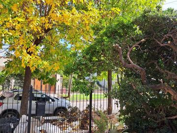 place photo 27