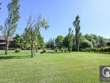 place photo 41