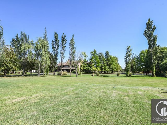 place photo 40