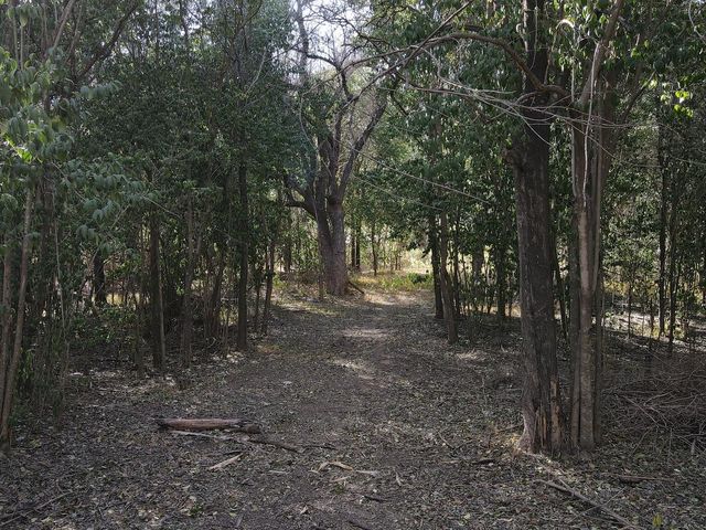 place photo 15