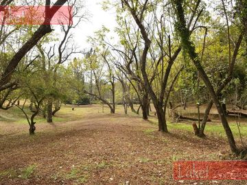 place photo 38