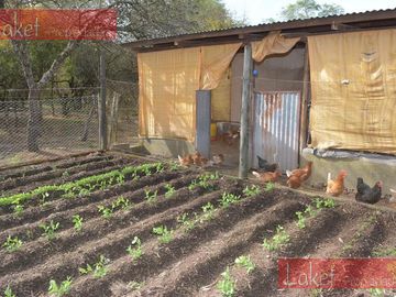 place photo 28