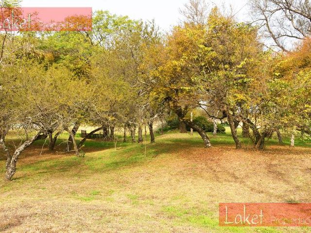 place photo 39
