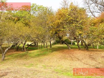 place photo 39