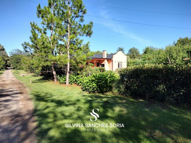 place photo 65