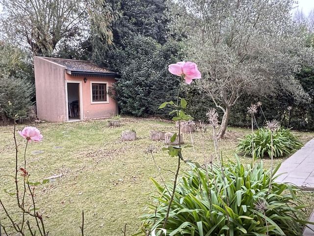 place photo 67