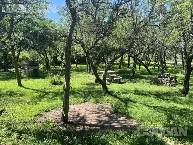 place photo 50