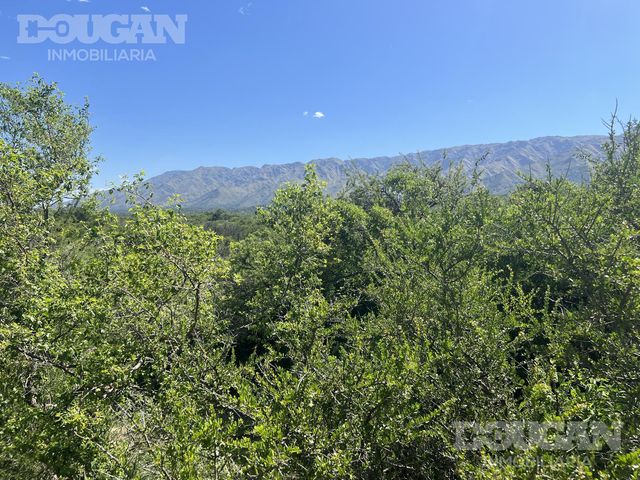 place photo 53
