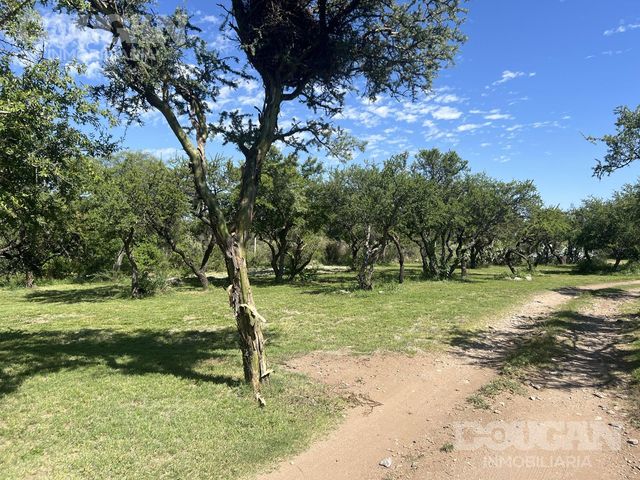 place photo 45