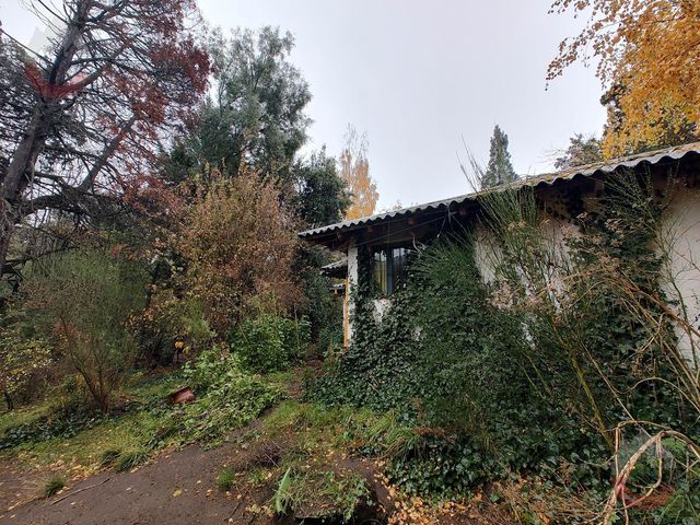 place photo 49