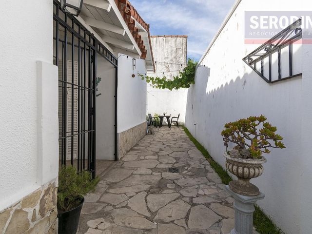 place photo 37