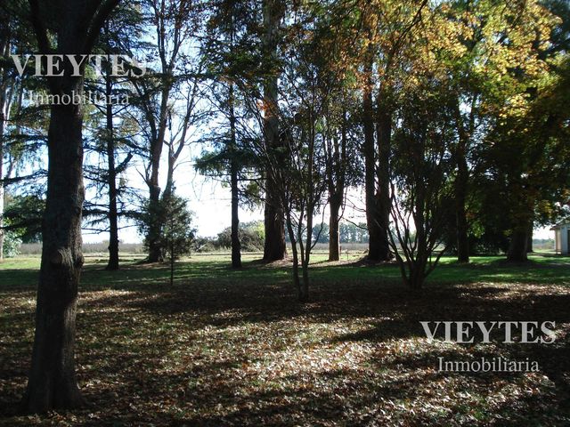 place photo 21