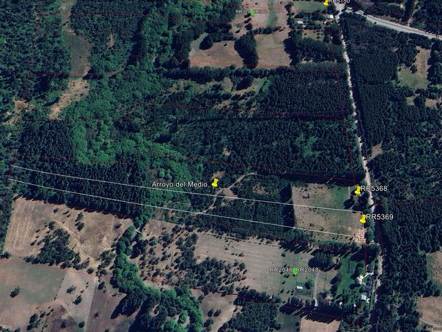 place photo 14