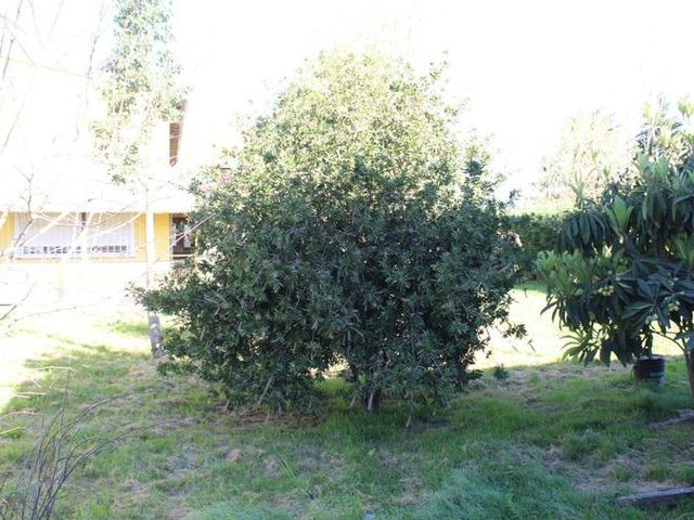 place photo 24