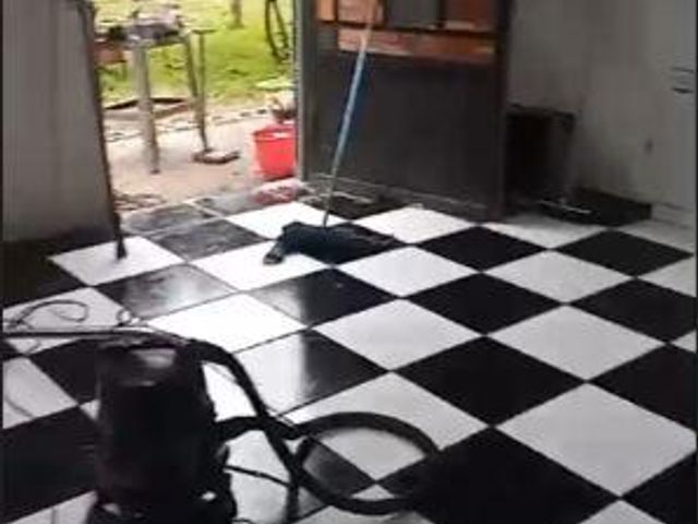 place photo 41