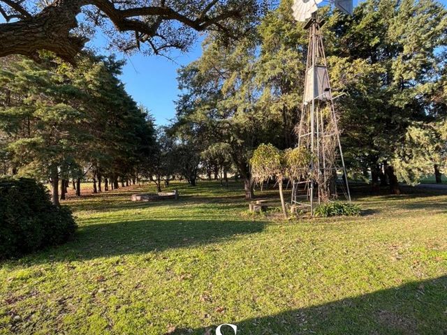 place photo 31