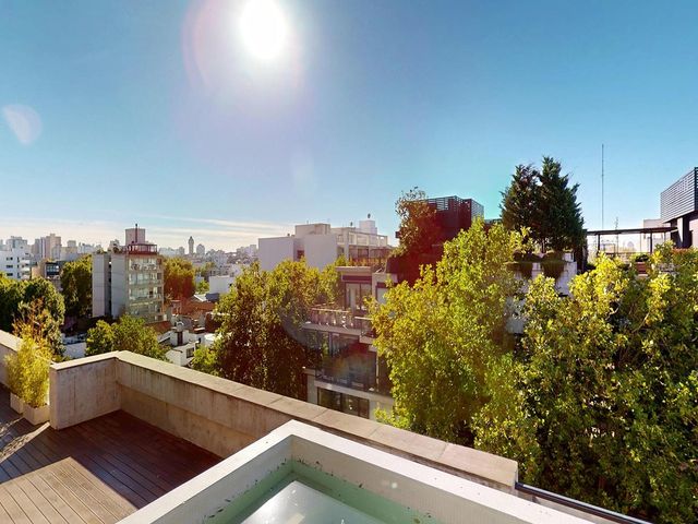 place photo 35