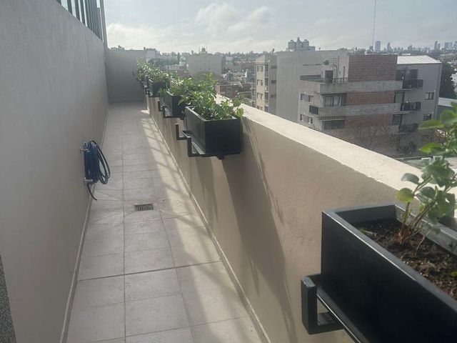 place photo 32