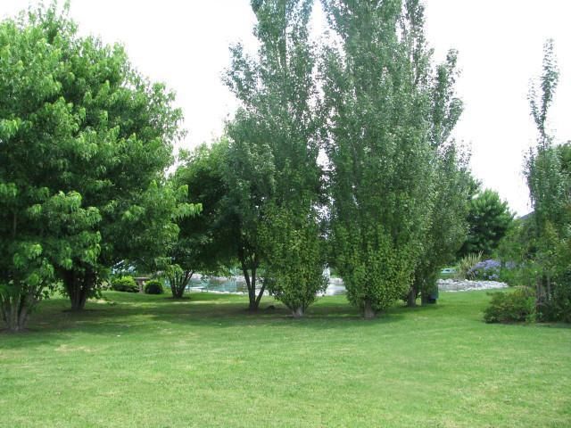 place photo 34