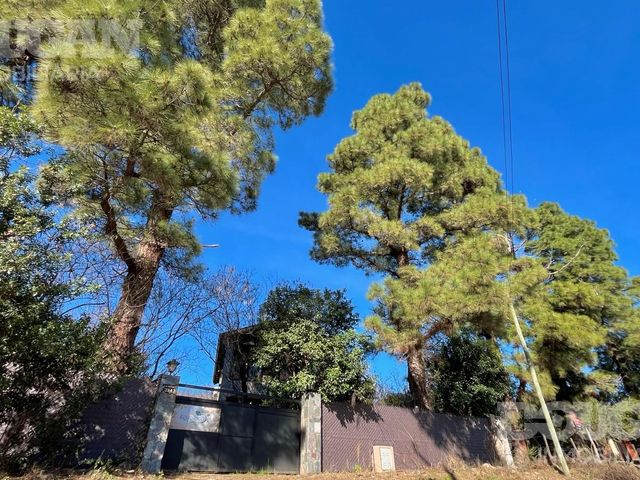 place photo 36