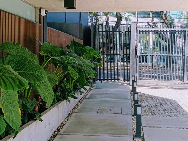 place photo 36